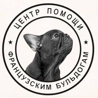 Французский бульдог. Центр помощи французским бульдогам frenchbull_help