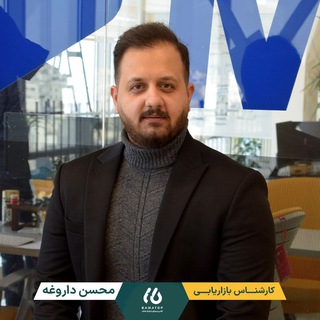 محسن داروغه