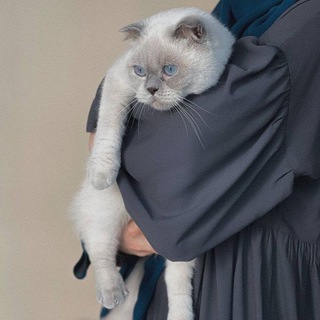 طُوْبَى