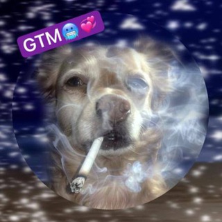 PR MANAGER GTM Менеджер-блоггеров