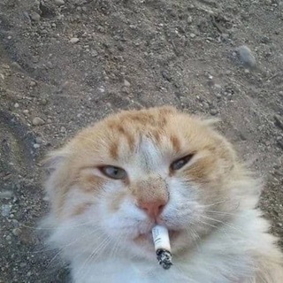 Егор