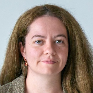 Дипломатические дневники