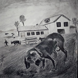የእርሳስ ስዕሎች ✏️ arts