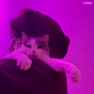 Vlad