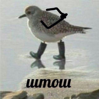 Sergey