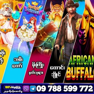 ကျွဲစလော့ဂိမ်း ဂိမ်းပေါင်းစုံ AfricanBuffalo