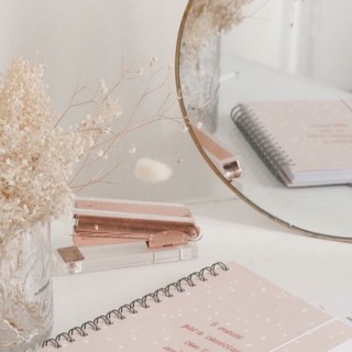 study buddies 🦢