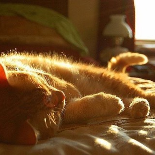 ⤹ ' Обратная связь . ☀️ . 𑁤