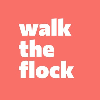 Сова walk the flock 🦉