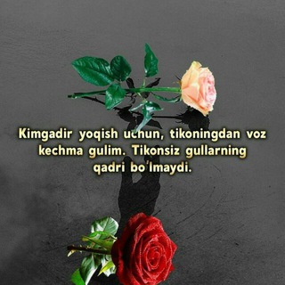 ͜͡͡🤴͜͡YURAGIMDA SAN GULMM👸͜͜͡