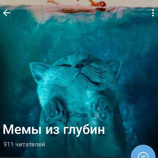 МЕМЫ ИЗ ПРЕДЛОЖКИ