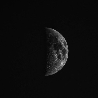 `ᴰᴼᴸᵁᴺᴬʸ🌔⁷⁷⁷