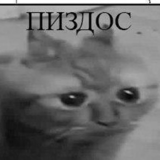 pizdosbot