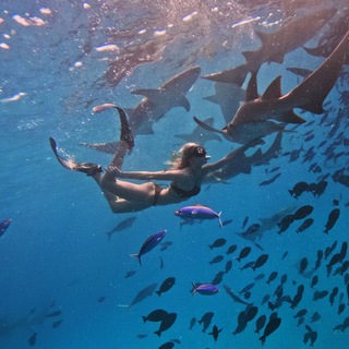 Ninel with Sharks 🦈