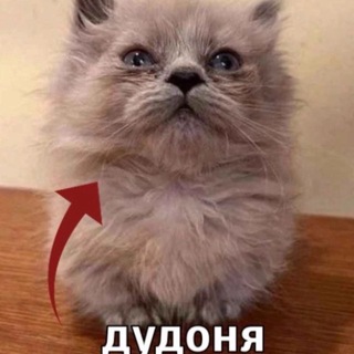 дет сад🐟