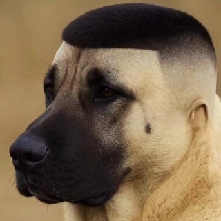 Туда Сюда