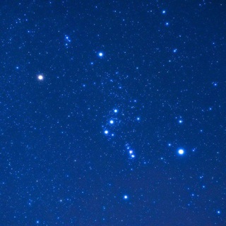 ORION BOT