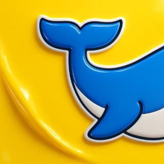 Mr whale
