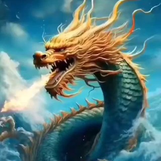 万事通小助手