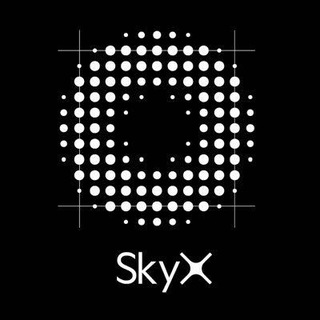 SkyX Official Group