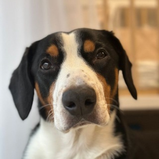 Евгений