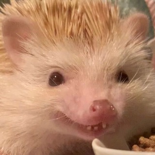 Puziblinchik