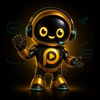 PaidZ Support