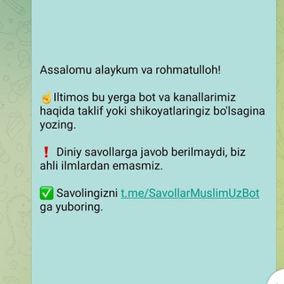 IlmnuriMedia aloqa!