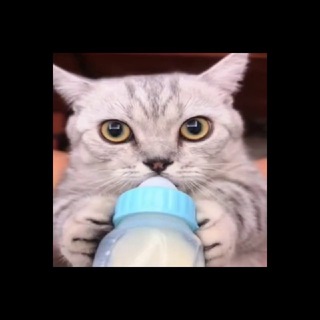 cj