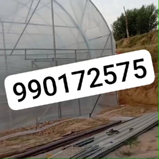 Mirjalol