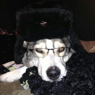 🐾☕ДОМИК RIZZI🐾☕
