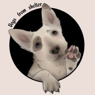 dogs_from_shelter сектор Б приюта Малинки"Пушистый друг", бывший Кожуховский
