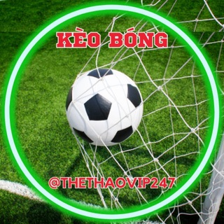 DIỄN ĐÀN CÁ ĐỘ CÁ CƯỢC