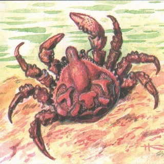 Craboid thoughts
