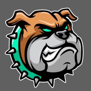 BullDogeChain Group