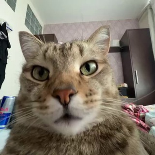 Вадим