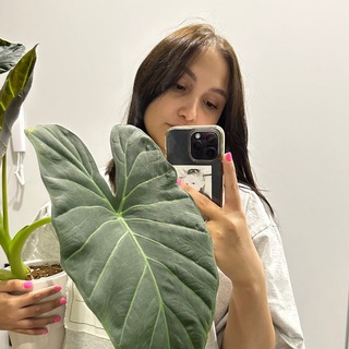 Mari’s plants 🪴