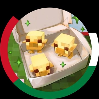 〽️ MINECRAFT GROUP CHAT 👥