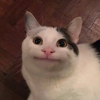 Стас