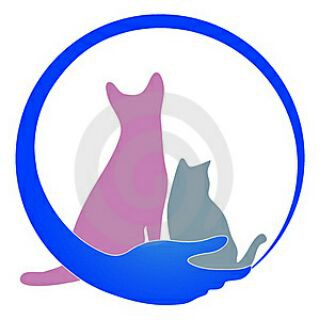 Обмен опытом содержания и лечения животных