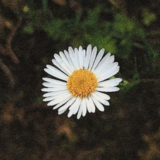 Prakhar