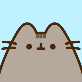 Pusheen 🐾 | The real Dogecoin killer 🔥🚀