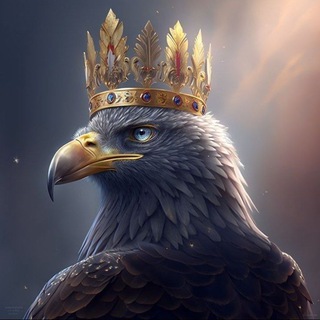 𝙌𝘼𝙍𝙏𝘼𝙇 𝙉𝙀𝙎𝙏🦅