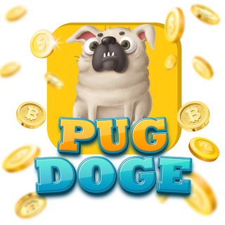 Pug Doge中文社区