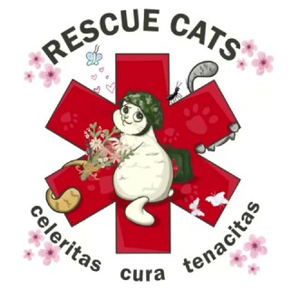 RESCUE CATS