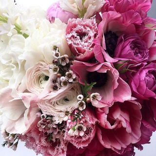 Цветы Via dei Fiori