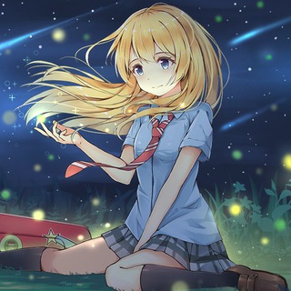 肥鱼BLOG