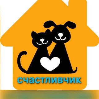 Счастливчик. Волонтёры. Каменск-Шахтинский