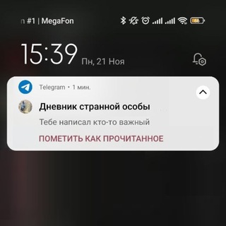 Чат странной особы