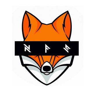 NightFoxStore